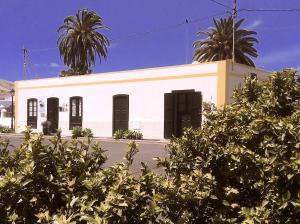UgaLa Finca Uga的两棵棕榈树的白色建筑