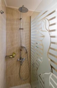 阿格里尼翁阿格里尼翁帝国酒店的带淋浴的浴室和玻璃门