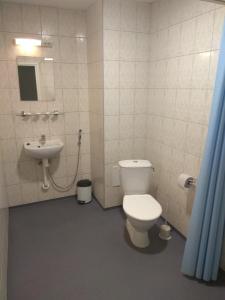科赫特拉-耶尔韦Alex Hotel的一间带卫生间和水槽的浴室