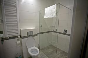 戈尔利采Motelik Grosar Gorlice的一间带卫生间和玻璃淋浴间的浴室