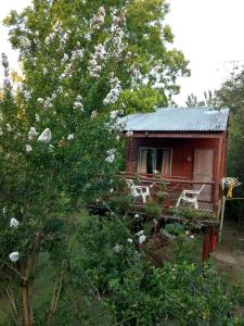 蒂格雷Cabañas ICh的一座红小小屋,里面种着树和鲜花