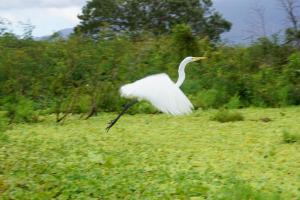 MéridaHostal y Restaurante Rancho Merida的相册照片