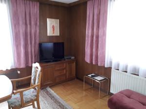 利恩茨Gaßmayr的客厅配有木柜上的电视