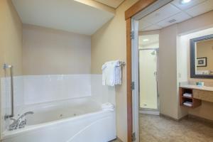 普莱西德湖普莱西德湖皇冠假日酒店的大型浴室设有浴缸和淋浴。