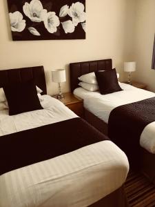 剑桥桤木旅馆的酒店客房带两张黑白床单