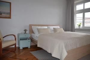 霍多宁Apartmán u Masaryka的卧室配有床、椅子和窗户。
