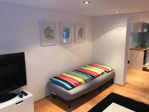 阿尔贝施文德Haus Marie的客房设有一张床和一台平面电视。