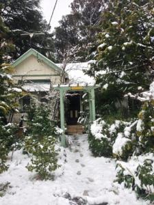 卢拉Lemon Tree Cottage的雪中带门的房子