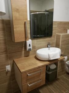 拉多夫吉卡Life Hostel Slovenia的一间带水槽和镜子的浴室