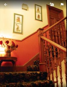 阿伯丁Denmore Guest House的带有花瓶的楼梯间