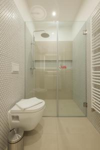 萨格勒布萨格勒布食宿公寓的一间带卫生间和玻璃淋浴间的浴室