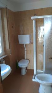 布雷佐内加尔达卡罗酒店的浴室配有卫生间、淋浴和盥洗盆。
