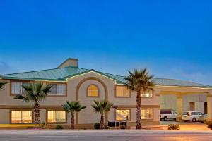 圣安东尼奥戴斯酒店 - 圣安东尼奥机场汽车旅馆的一座棕榈树环绕的大建筑