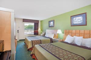 格林维尔戴斯格林维尔酒店的酒店客房设有两张床和窗户。