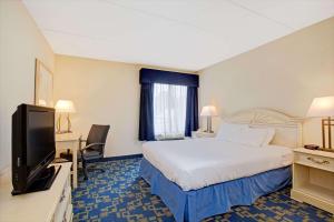 东温莎Windsor Hotel的配有一张床和一台平面电视的酒店客房