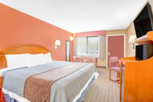 埃尔科埃尔科戴斯酒店的配有一张床和一台平面电视的酒店客房
