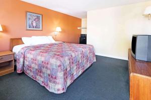 亨里埃塔罗切斯特戴斯酒店的配有一张床和一台平面电视的酒店客房