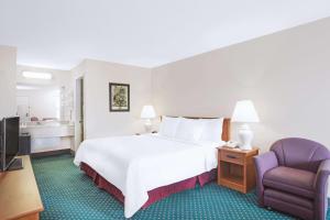 威斯维尔威斯维尔戴斯酒店的配有一张床和一把椅子的酒店客房
