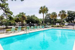 利特尔里弗戴斯小河酒店的一个带椅子的游泳池,棕榈树