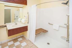 哈维哈维戴斯酒店的一间带水槽和淋浴的浴室
