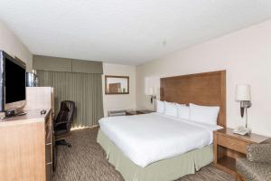 皮奥里亚皮奥里亚格伦代尔戴斯酒店的酒店客房设有一张大床和一台电视。