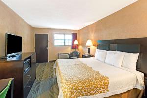 切罗基切诺基/斯莫基山戴斯酒店的配有一张床和一台平面电视的酒店客房