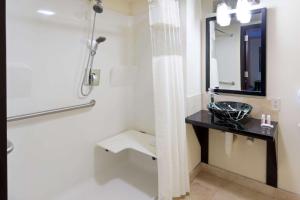 密尔沃基戴斯艺术套房酒店的一间带水槽和镜子的浴室