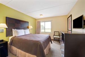 迪索托德索托戴斯旅馆及套房酒店的配有一张床和一台平面电视的酒店客房