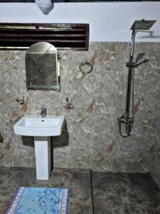基图尔格勒Gallene Gala Nature Resort的一间带水槽和镜子的浴室