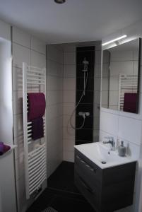 施马尔卡尔登Ferienhaus Johanna的浴室配有盥洗盆和带镜子的淋浴