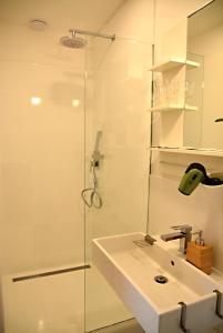 布拉格Wellness Vila Bohemia的一间带水槽和玻璃淋浴的浴室