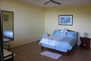 圣伊西德罗La Princesa Hotel的一间卧室配有一张床和吊扇