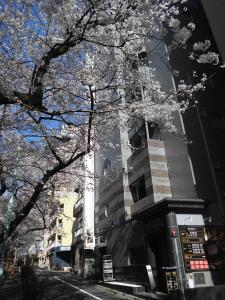 东京莫阿纳大冢酒店（仅限成人）的街道前有花树的建筑