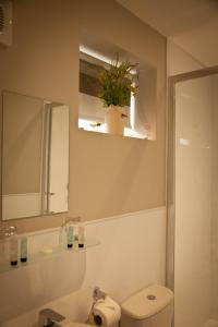 切斯特Rowton Poplars Hotel的一间带卫生间、水槽和镜子的浴室
