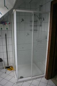 布尔格-罗伊兰德Location PanoramaGreen的浴室里设有玻璃门淋浴
