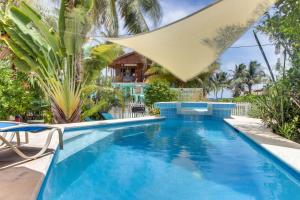 库尔克岛Amanda's Place Casita Carinosa - pool and tropical garden的棕榈树度假村内的游泳池