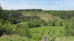 Vilémovice峡谷酒店的享有绿树成荫的山坡美景