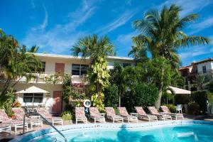 劳德代尔堡肖沙湾度假旅馆的一个带躺椅和棕榈树的游泳池的度假酒店