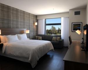 弗雷德里克顿Radisson Kingswood Hotel & Suites, Fredericton的酒店客房,配有床和沙发