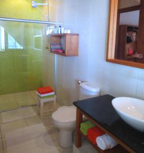 帕拉茹鲁Refugios Parajuru - Casa Verde的浴室配有卫生间、盥洗盆和淋浴。