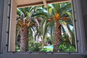 马赛Villa Valflor chambres d'hôtes et appartements的透过窗户可以看到两棵棕榈树