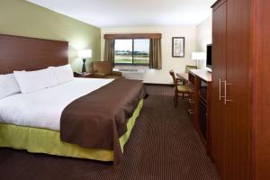 Osage阿美瑞辛酒店及套房 - 奥沙的配有一张床和一张书桌的酒店客房