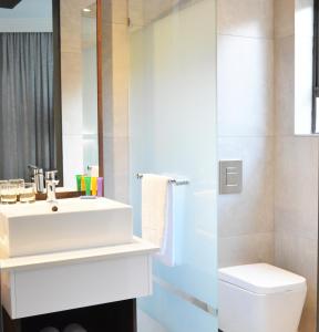 布里茨Palm Swift Luxury Accommodation的一间带水槽和卫生间的浴室