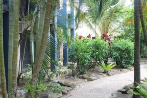 凯恩斯凯恩斯波希米亚度假村的一座种植了棕榈树和植物的花园,位于一座建筑旁边