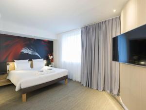 沙斯讷伊迪普瓦图诺富特普瓦捷图罗斯科帕酒店的配有一张床和一台平面电视的酒店客房