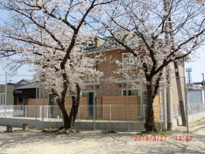 福冈善き羊飼いの舎的两棵树,在一座建筑前有白色花