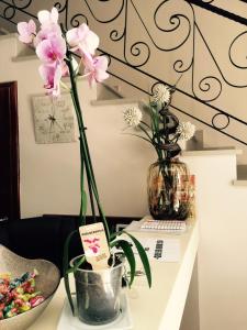 茨雷斯奈霍住宿加早餐旅馆的花瓶,桌子上放着粉红色的花