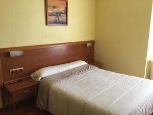 布尔戈斯Hostal Restaurante Iruñako的卧室配有一张床,墙上挂着一幅画