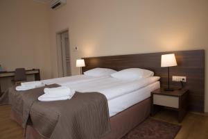 扎雷Glas-Hotel 4*的酒店客房配有一张带白色枕头的大床