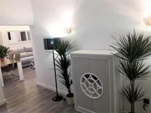 乌贝达Apartamentos Sol Compañia的客厅拥有两棵棕榈树和散热器